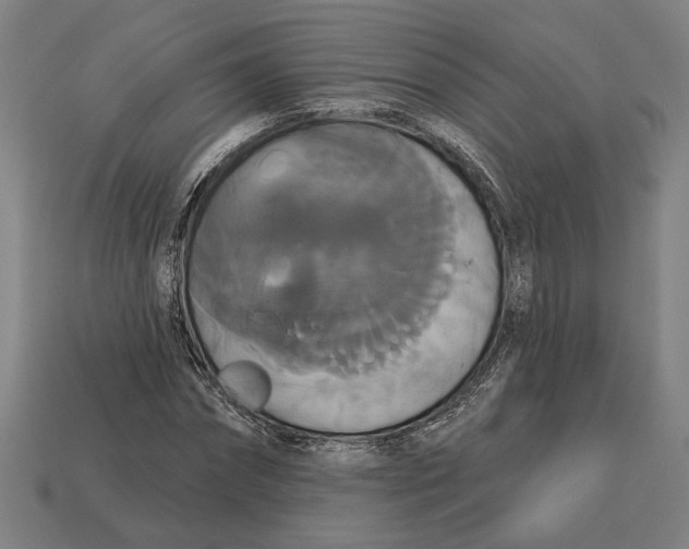 X0000113060874200909250907