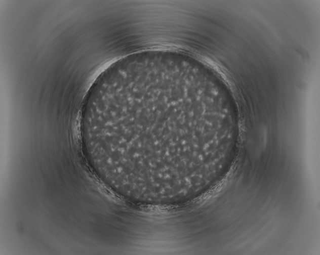 X0000113060875200909250907