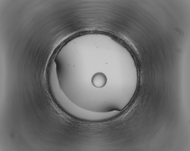 X0000113060876200909250907