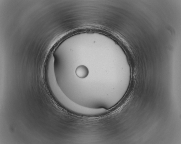 X0000113060877200909250907