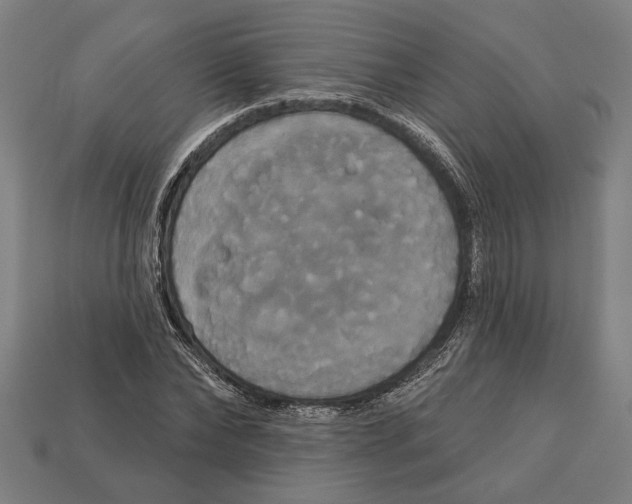 X0000113060878200909250907