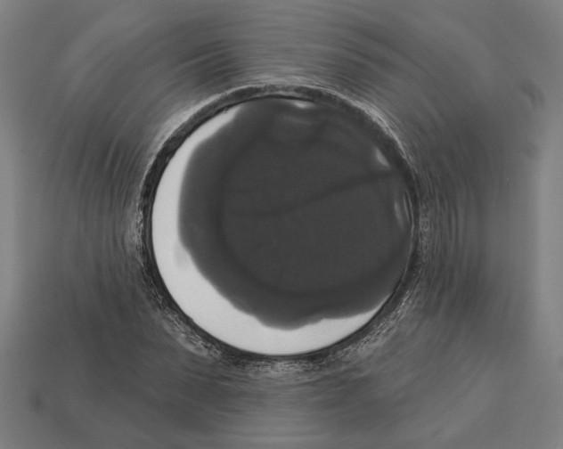 X0000113060879200909250907