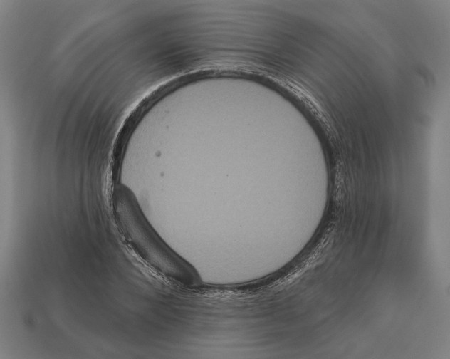 X0000113060880200909250907