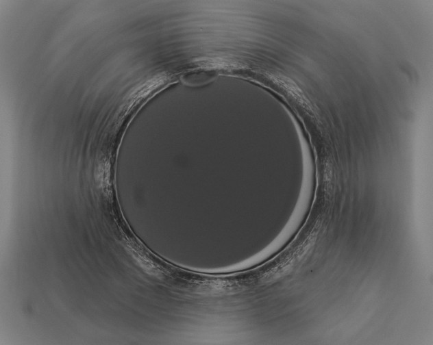 X0000113060881200909250907