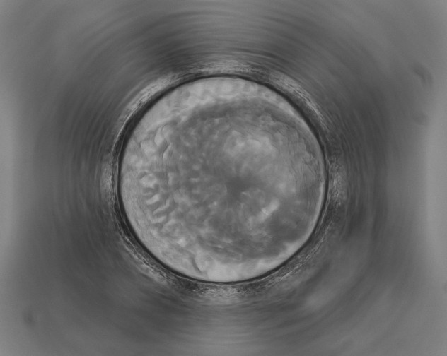 X0000113060882200909250907