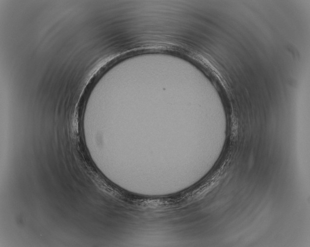 X0000113060883200909250907