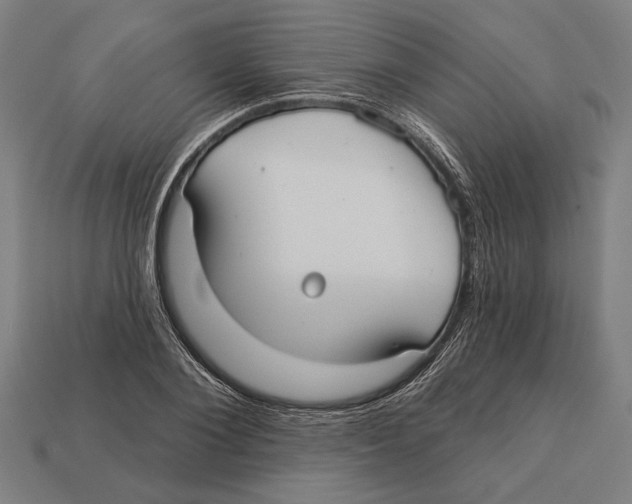 X0000113060884200909250907