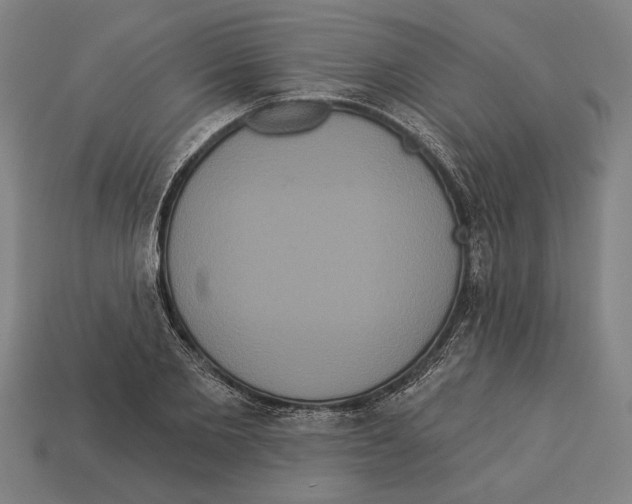 X0000113060885200909250907