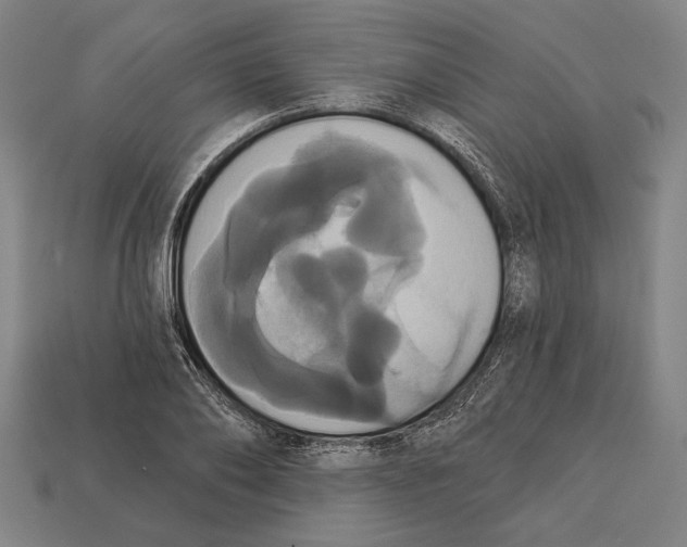 X0000113060886200909250907