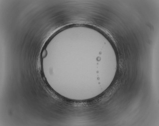 X0000113060887200909250907