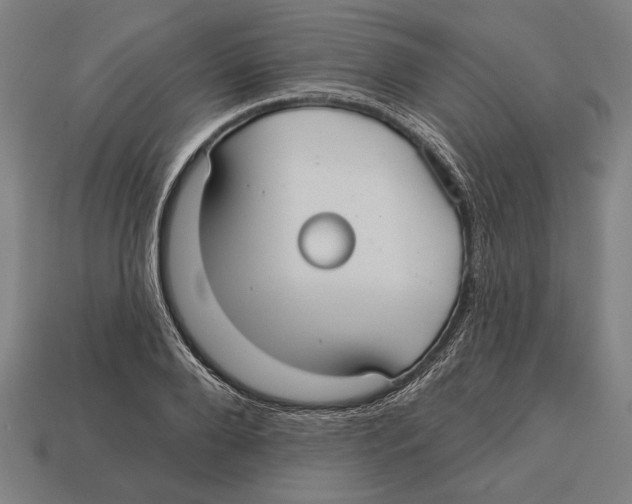 X0000113060888200909250907