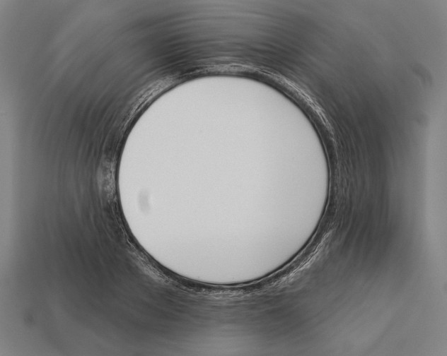 X0000113060889200909250907