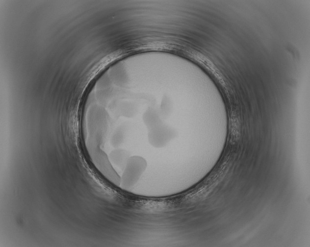 X0000113060890200909250907