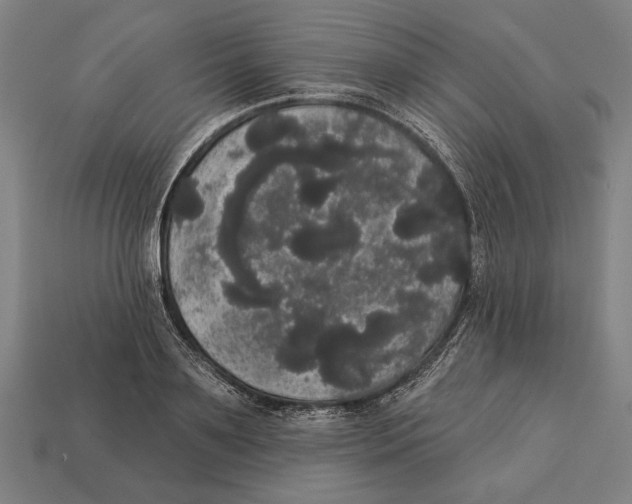 X0000113060891200909250907