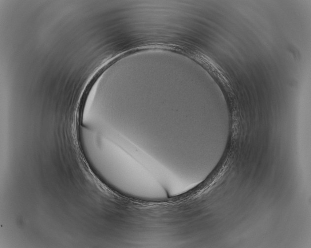 X0000113060892200909250906