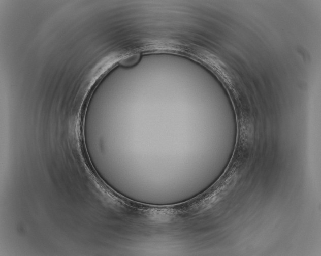 X0000113060893200909250906