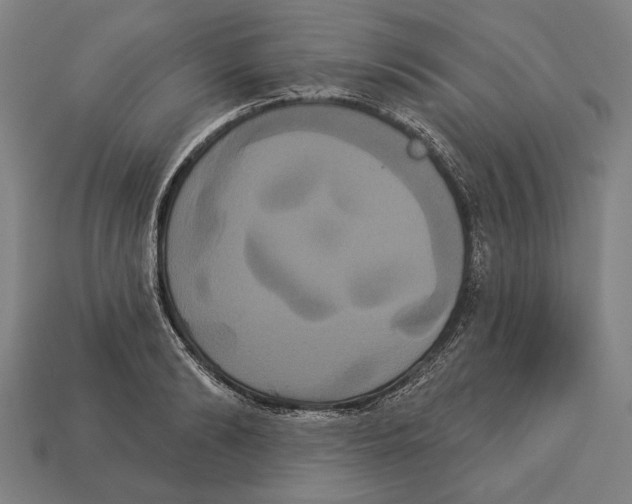 X0000113060894200909250906