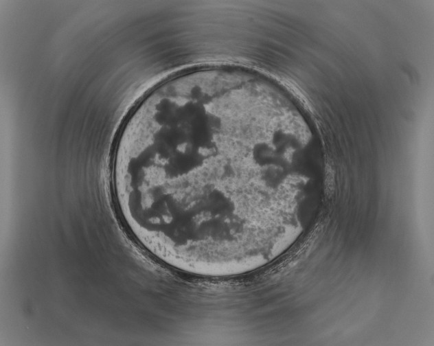 X0000113060895200909250906