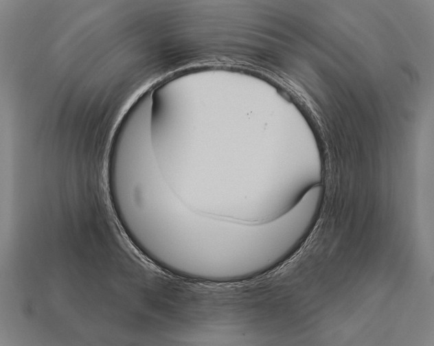 X0000113060896200909250906