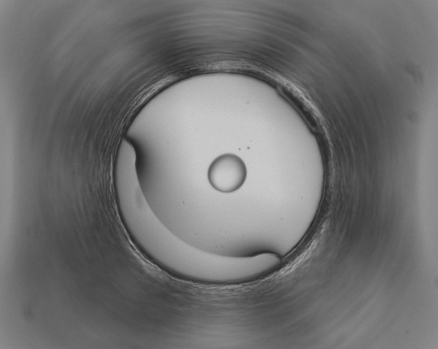 X0000113060897200909250906