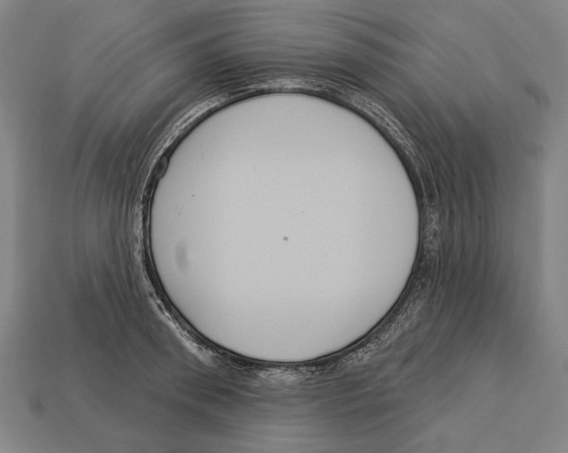 X0000113060898200909250906