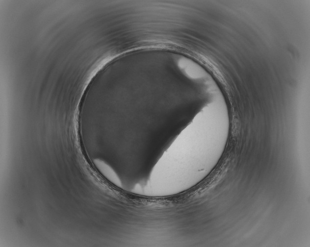 X0000113060899200909250906