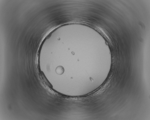 X0000113060900200909250906