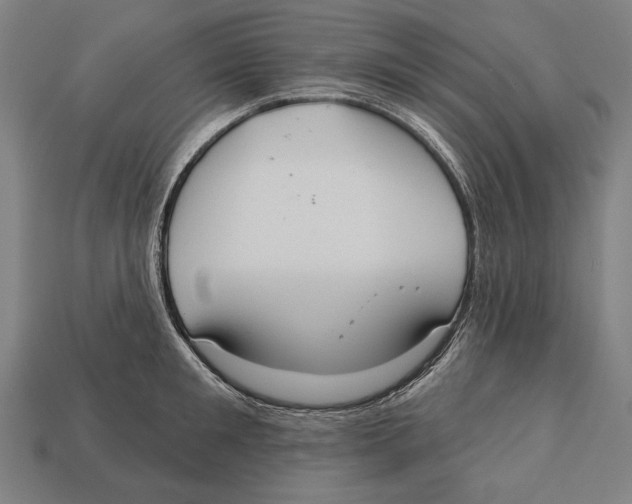 X0000113060901200909250906