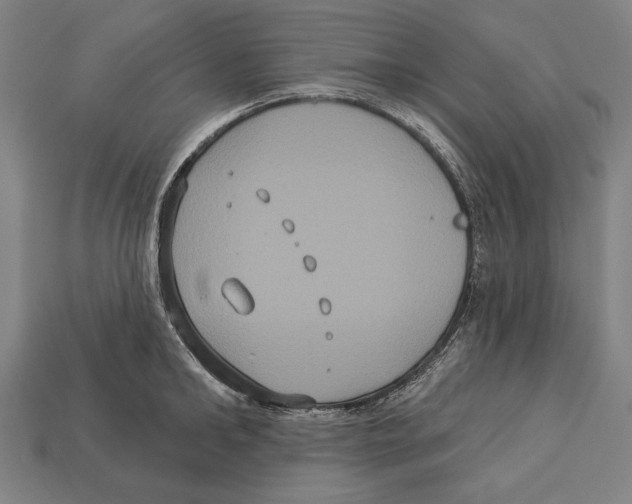 X0000113060902200909250906