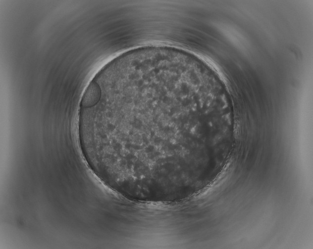 X0000113060903200909250906