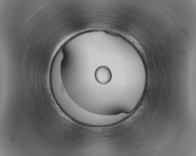 X0000113060904200909250906