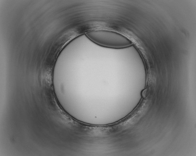 X0000113060905200909250906