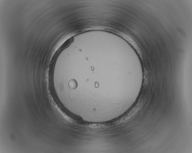 X0000113060906200909250906