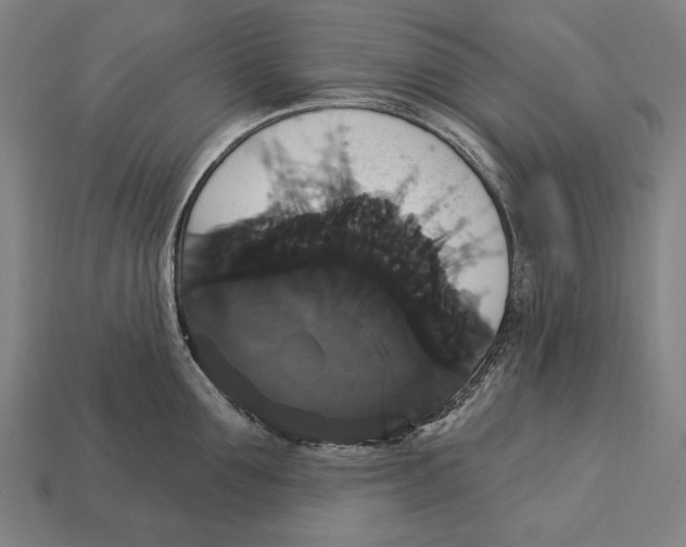 X0000113060907200909250906