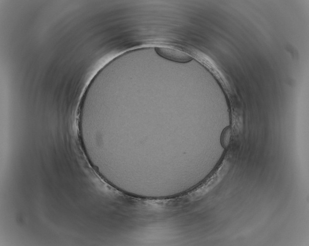 X0000113060908200909250906