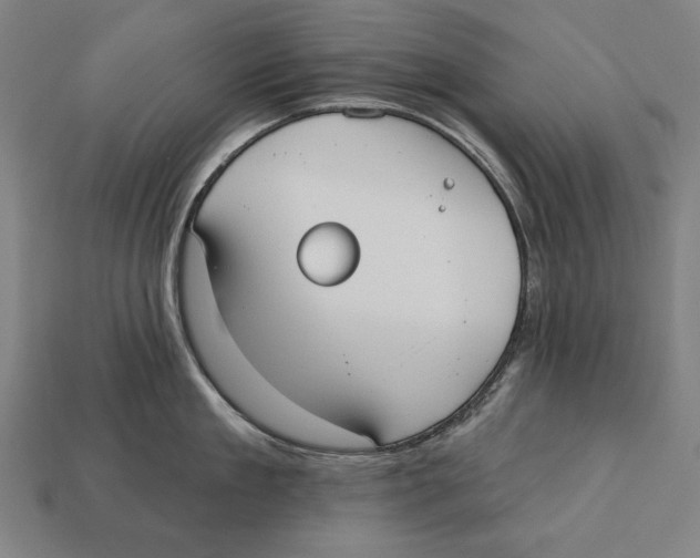 X0000113060909200909250906