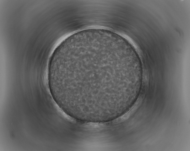 X0000113060910200909250906