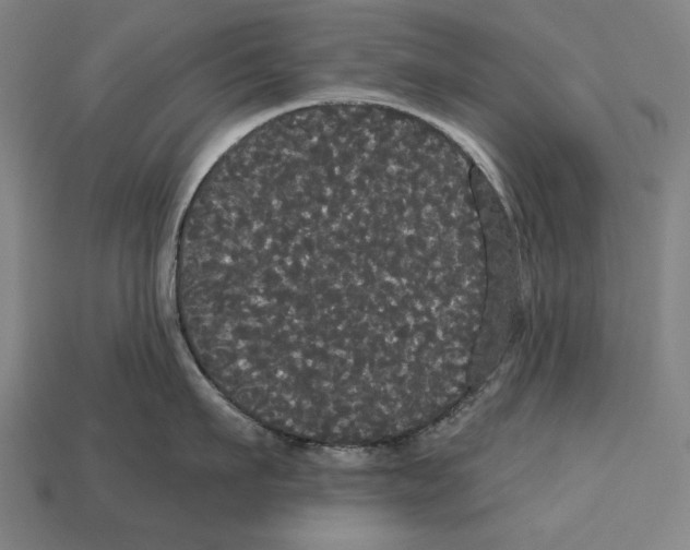 X0000113060911200909250906