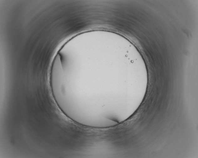 X0000113060912200909250906