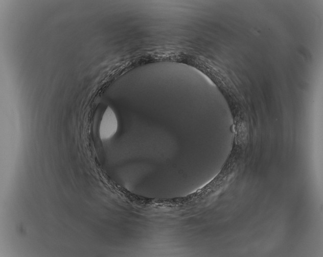 X0000113060913200909250905