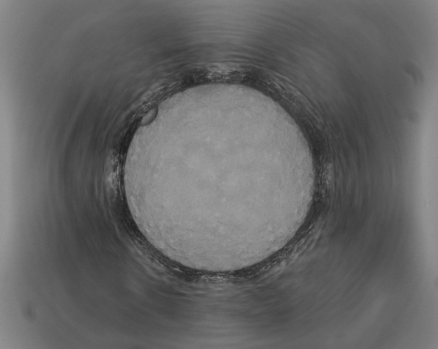 X0000113060914200909250905