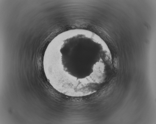 X0000113060915200909250905