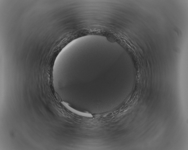 X0000113060916200909250905