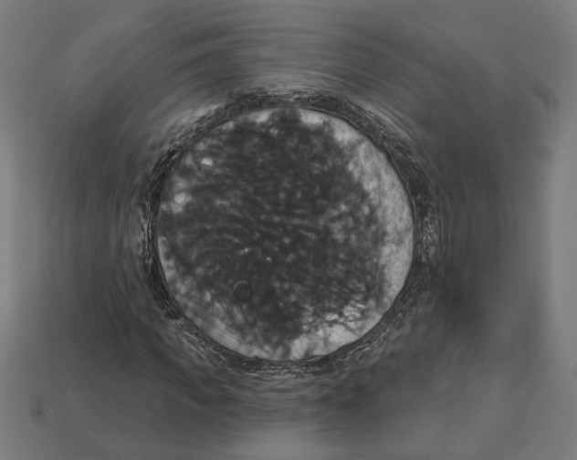 X0000113060917200909250906