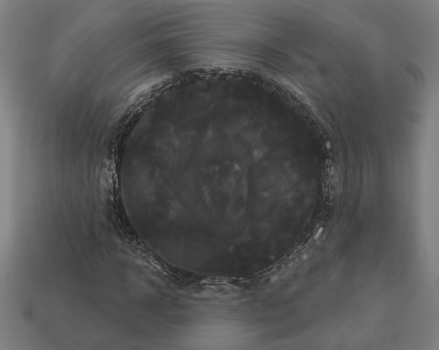 X0000113060918200909250906