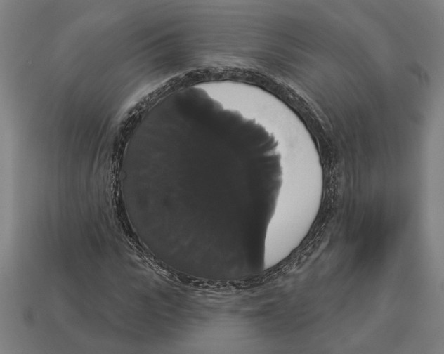 X0000113060919200909250906