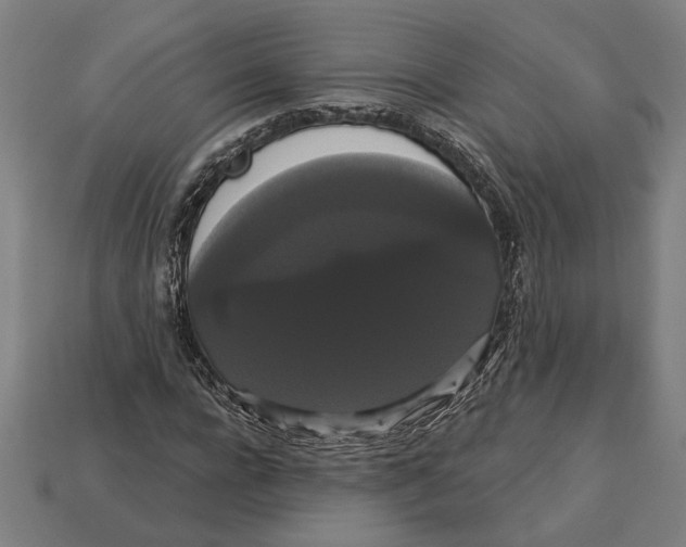 X0000113060920200909250906