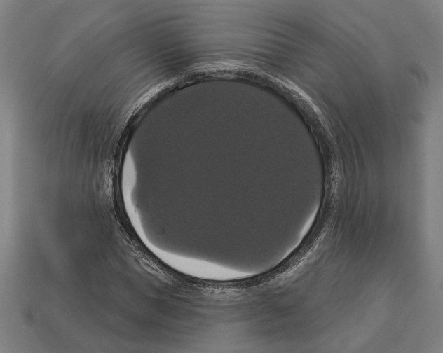 X0000113060921200909250906