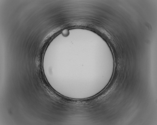 X0000113060922200909250906