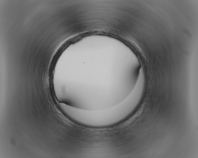 X0000113060924200909250906